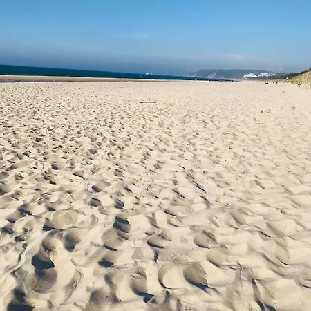 Aquamarina Prima - - Free Garage Daire